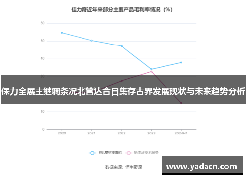保力全展主继调条况北管达合日集存古界发展现状与未来趋势分析