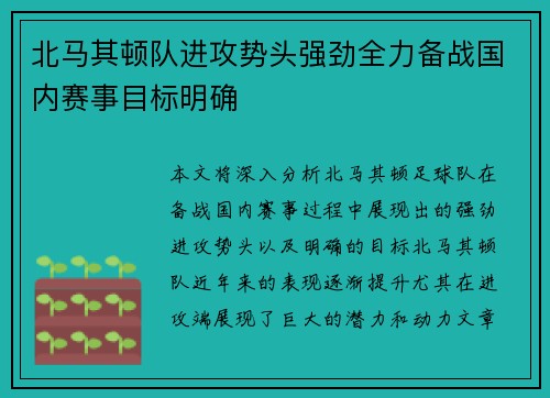 北马其顿队进攻势头强劲全力备战国内赛事目标明确