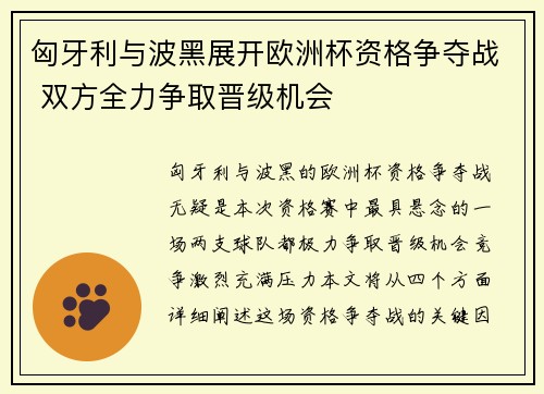 匈牙利与波黑展开欧洲杯资格争夺战 双方全力争取晋级机会 匈牙利与波黑展开欧洲杯资格争夺战 双方全力争取晋级机会